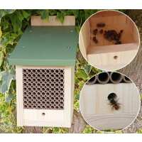 Read green gardener Reviews